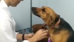 La tratament la doctor La tratament la doctor