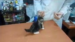 La doctor