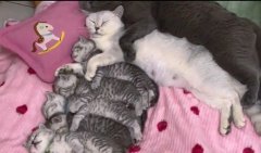 O familie fericită