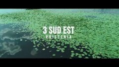 3 Sud Est - Prietenia